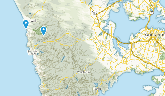 Muriwai Beach, Auckland Region Map