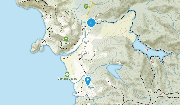 Te Henga (Bethells Beach), Auckland Region Map