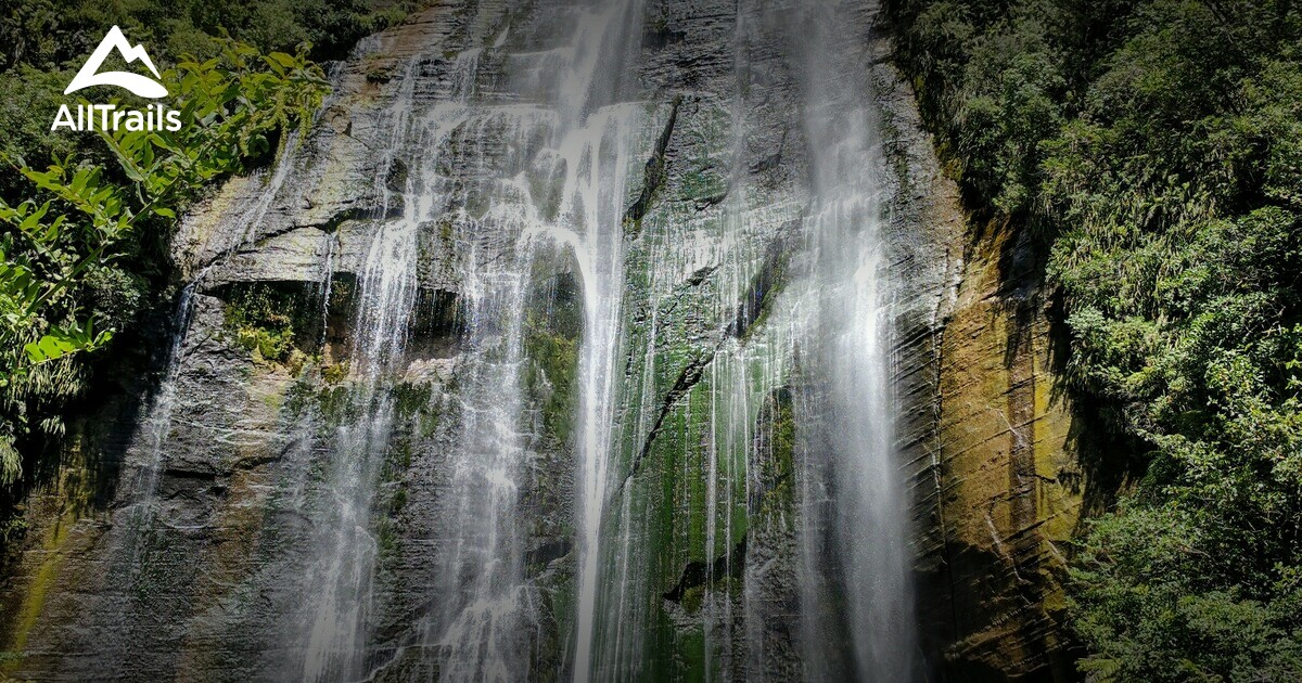 Napier Ridge 10 Best trails and hikes in Napier | AllTrails