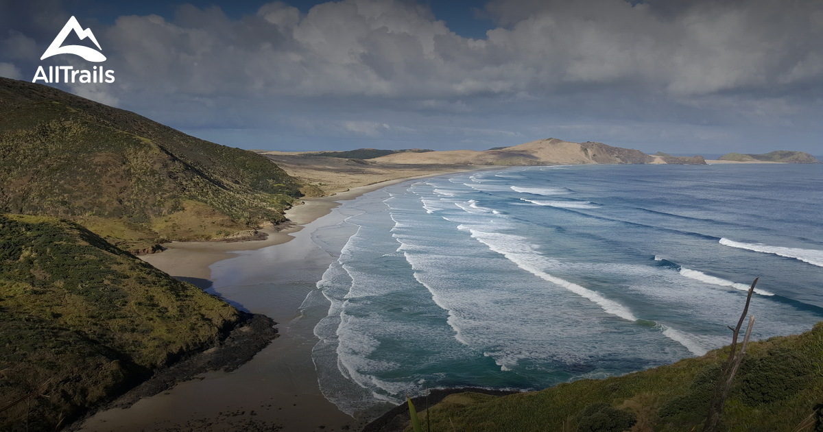 Best hikes and trails in Cape Reinga | AllTrails