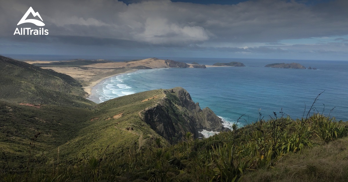 Best hikes and trails in Te Hapua AllTrails