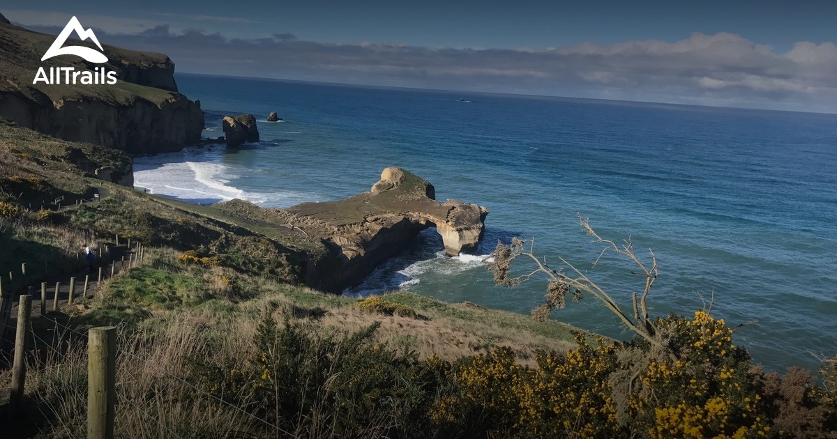 Best Trails near Dunedin, Otago New Zealand AllTrails