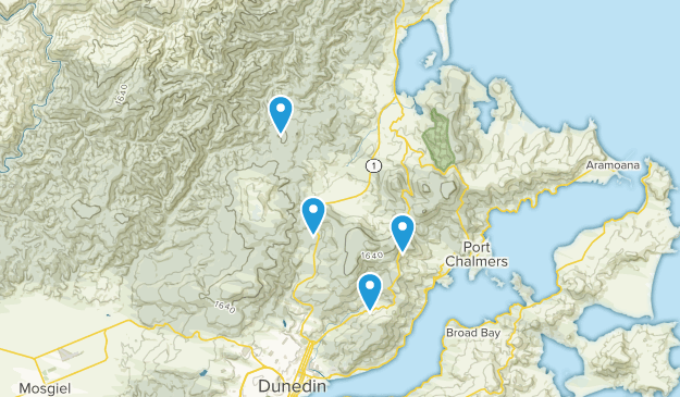 Waitati, Otago Map