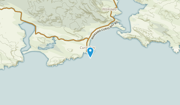 Curio Bay, Southland Region Map