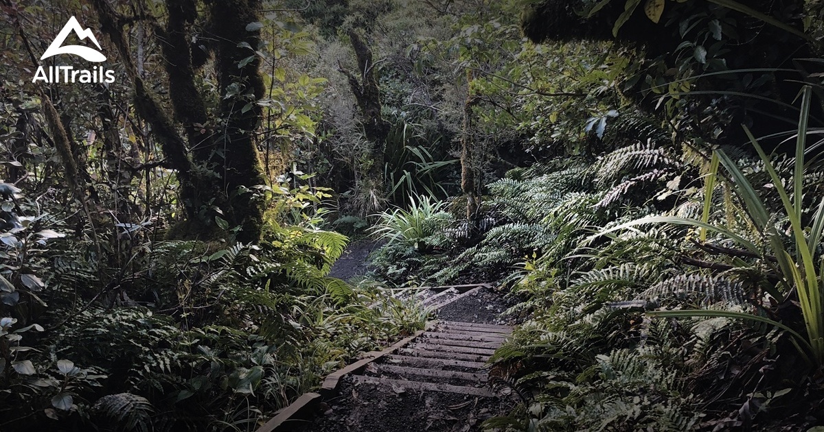 Best Trails near Hawera, Taranaki New Zealand AllTrails