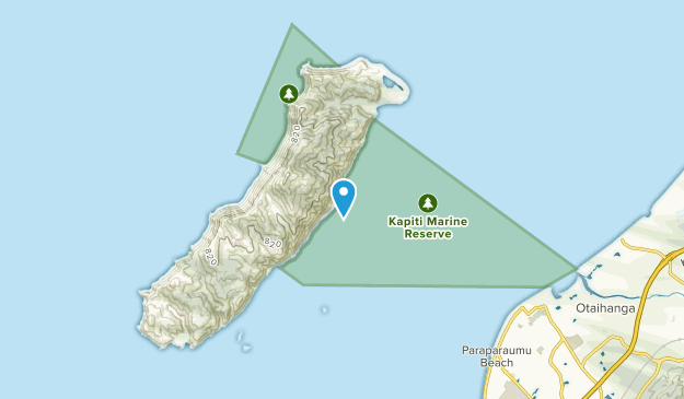 Paraparaumu Beach, Wellington Region Map