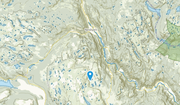 Nes, Comté de Buskerud Map