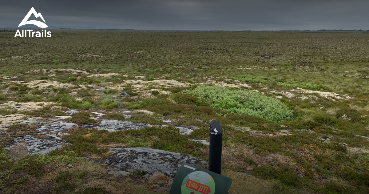 best-dog-friendly-trails-in-sm-la-alltrails