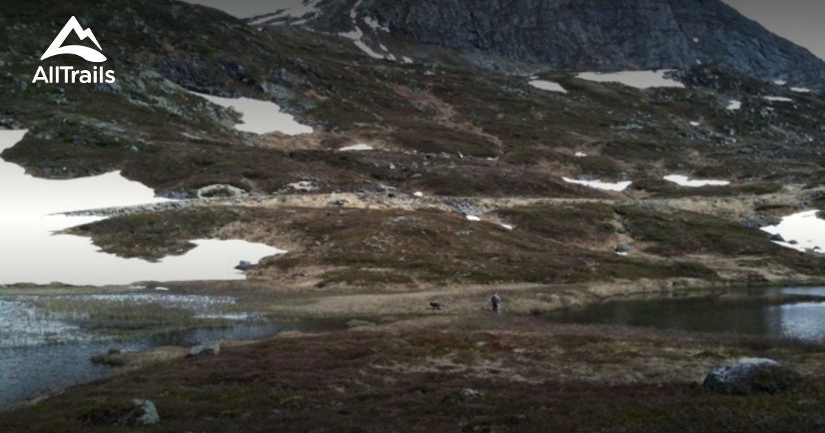 Røldal : les 10 meilleures randonnées et itinéraires | AllTrails