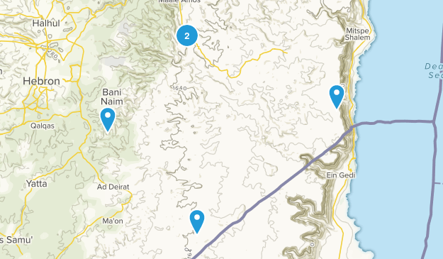 Rashaydeh, Palestine Map