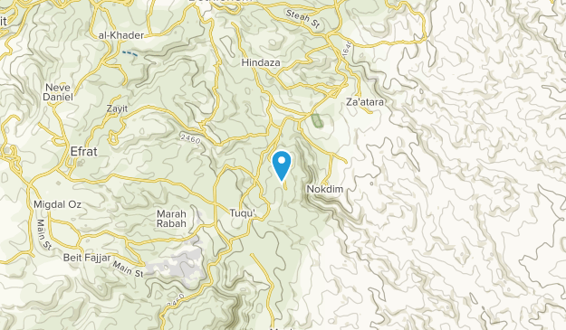 תקוע, West Bank Map
