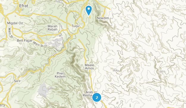 Tkoa, Cisjordanie Map