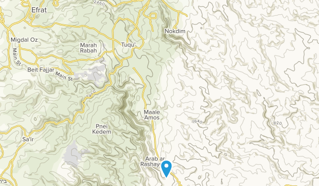 Tkoa, West Bank Map