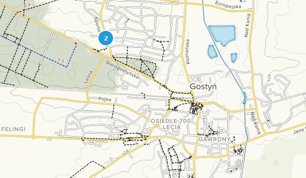 Gostyń, Greater Poland Map
