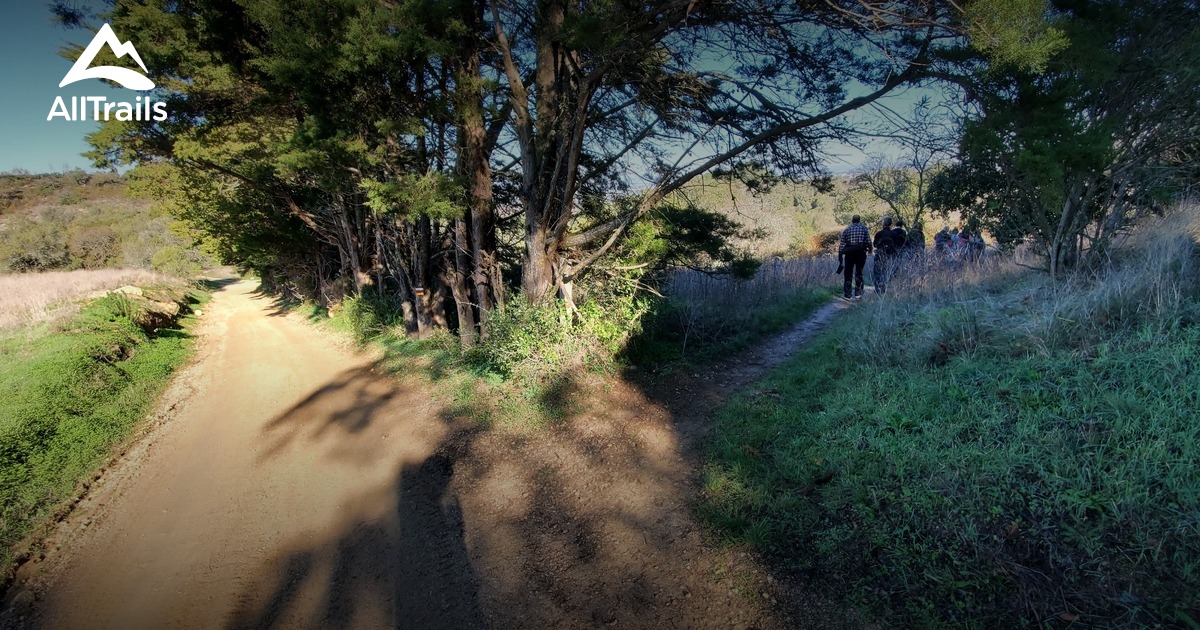 Best hikes and trails in Quinta do Anjo AllTrails