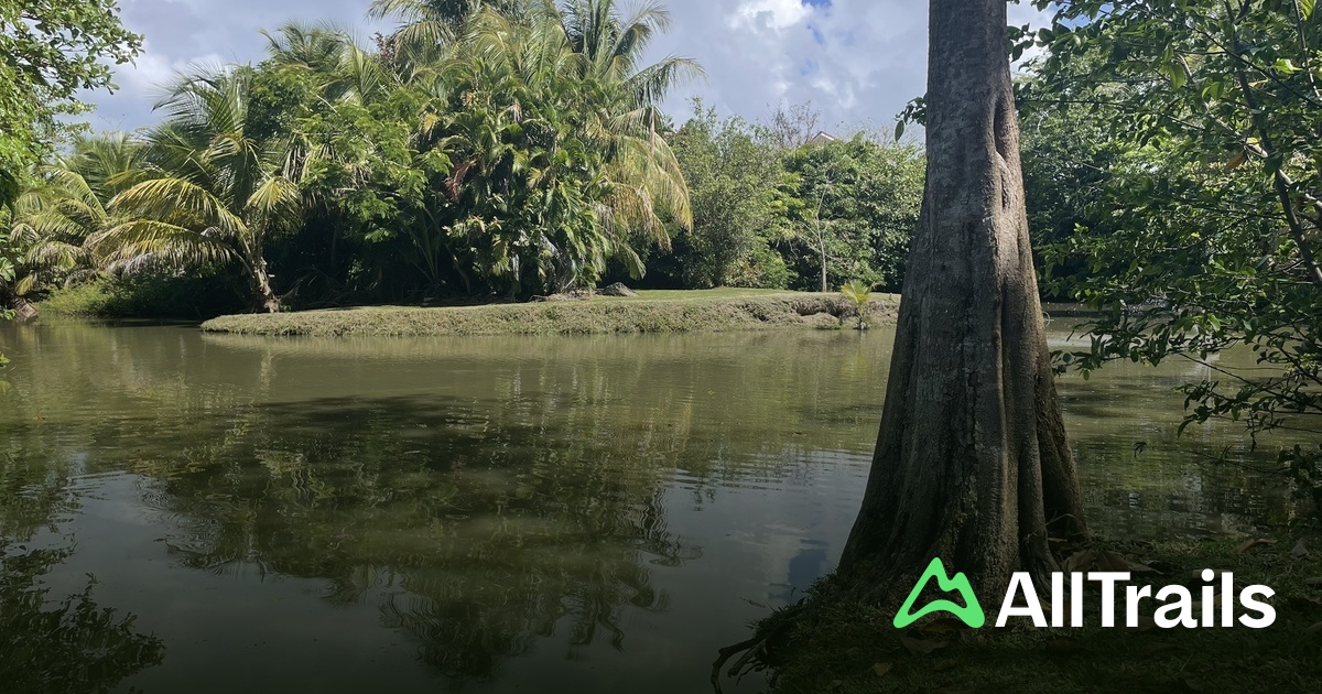Best hikes and trails in Humacao | AllTrails