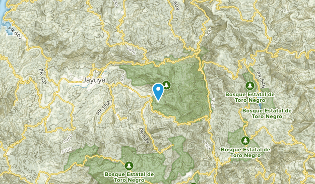 Mario Canales, Central Region Map