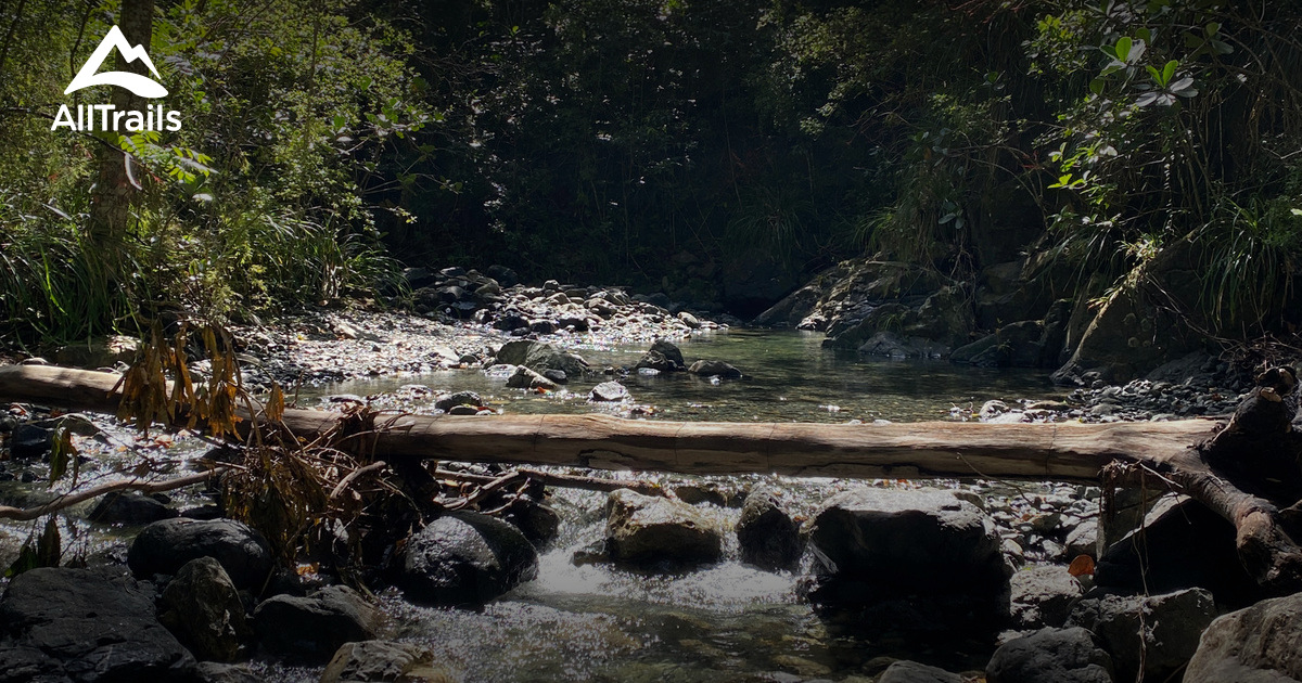 Best hikes and trails in San German | AllTrails