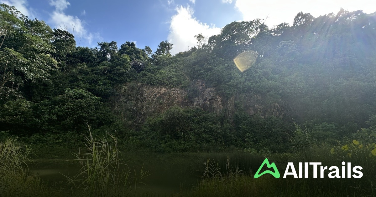 Best waterfall trails in Singapore | AllTrails