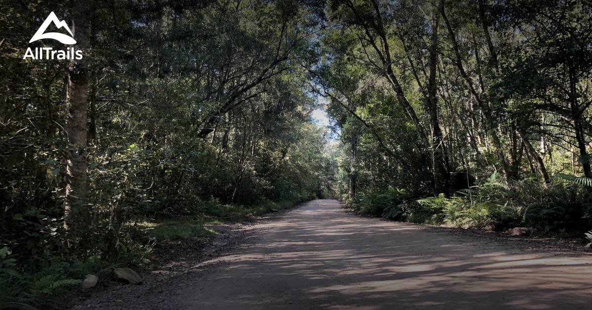 10 Best forest trails in Knysna | AllTrails