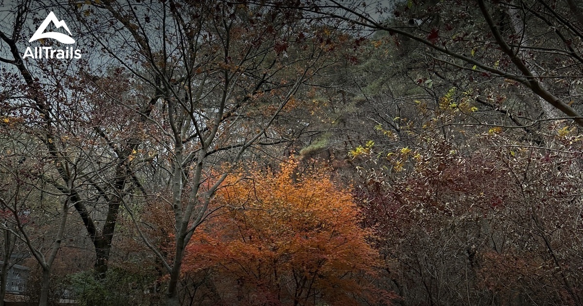 Yangpyeong-gun Gyeonggi-do: What Most People Get Wrong About Seoul's Favorite Escape