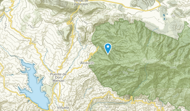 Alcaucín, Andalusia Map