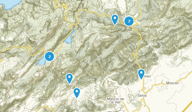 Selva, Mallorca Map