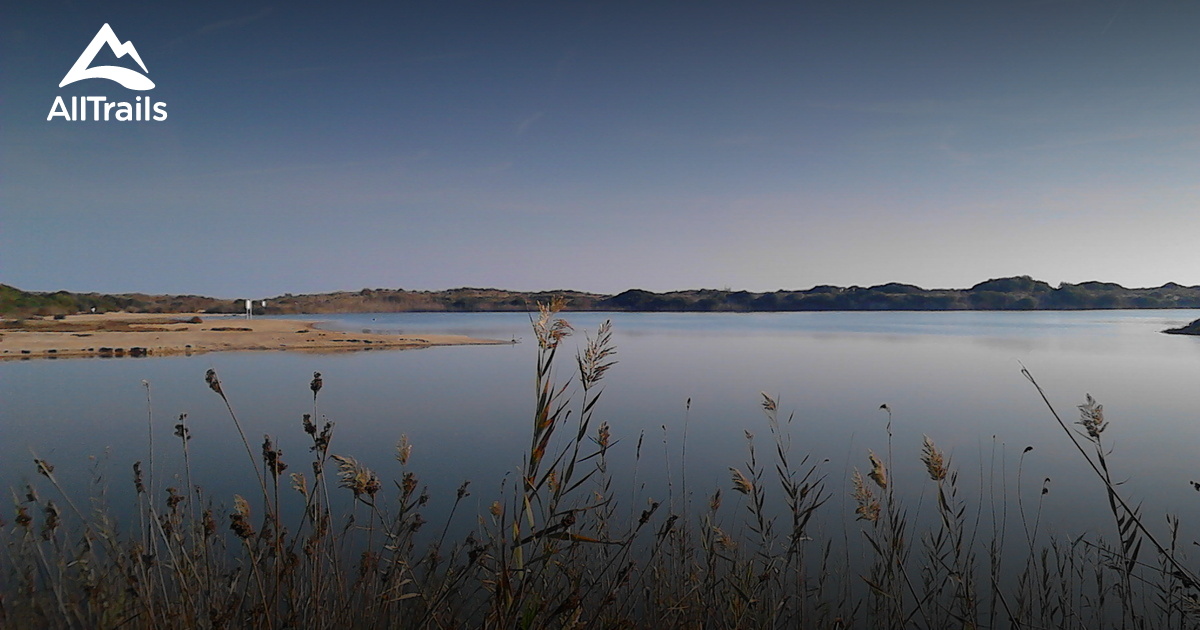 2023 Best Beach Trails in Sedaví AllTrails