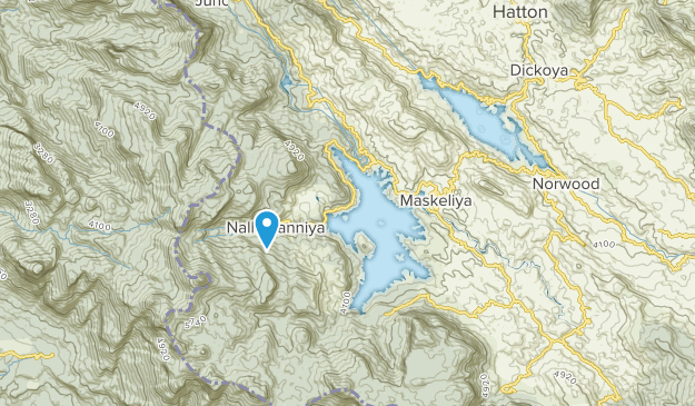 Maskeliya, Nuwara Eliya Map