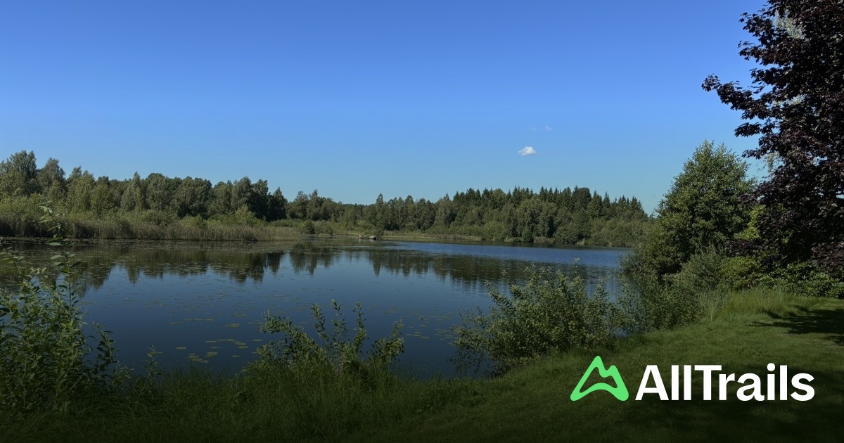 Best Trails, Walks, and Paths in Långasjö | AllTrails