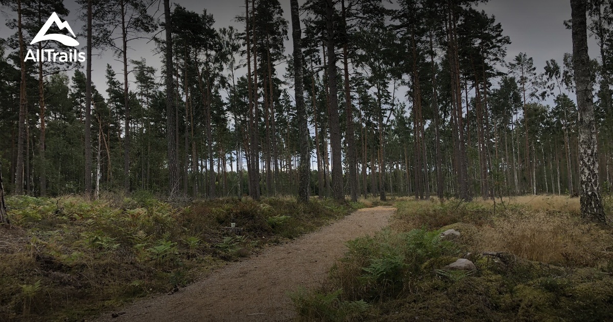 De 10 bästa lederna och vandringarna i Hammarö | AllTrails