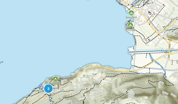 Brienz, Bern Map