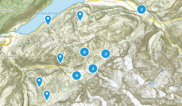 Grindelwald, Bern Map