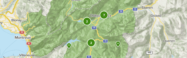 Chateau D Oex Vaud Meilleurs Parcours Alltrails