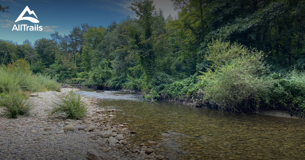 Best hikes and trails in Morges | AllTrails