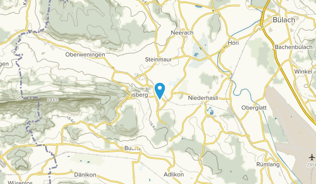 Dielsdorf, Zürich Map