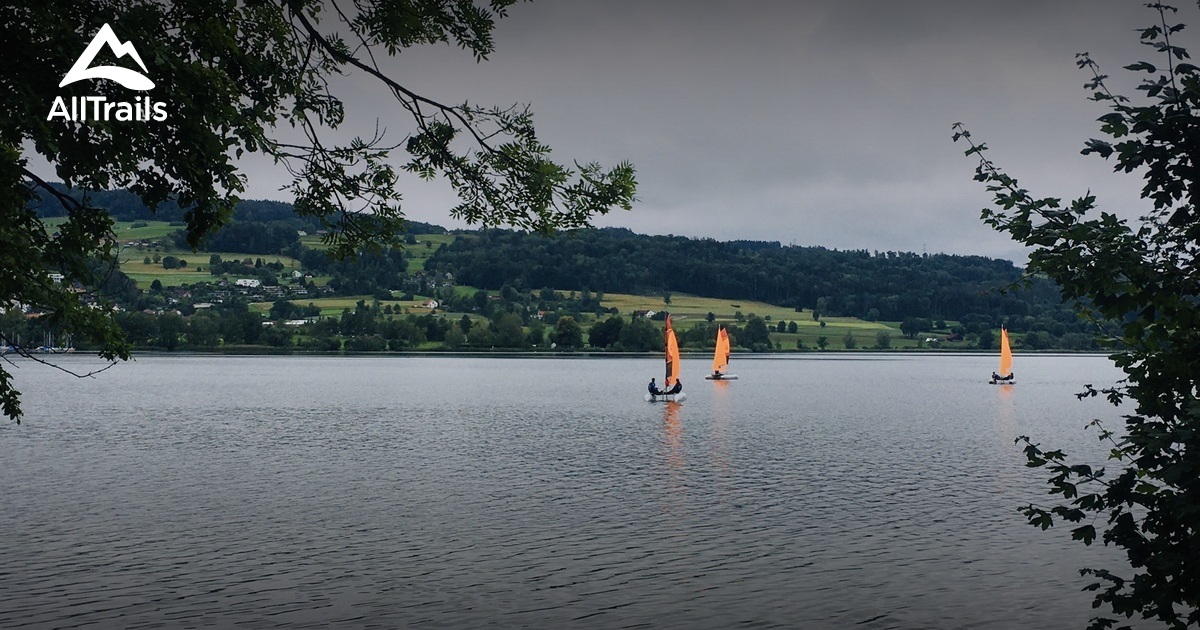 10 Best trails and hikes in Dübendorf | AllTrails