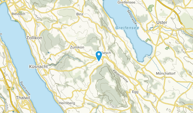 Forch, Zürich Map