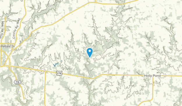Baileytown, Alabama Map