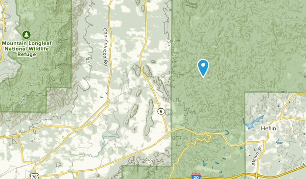 Choccolocco, Alabama Map