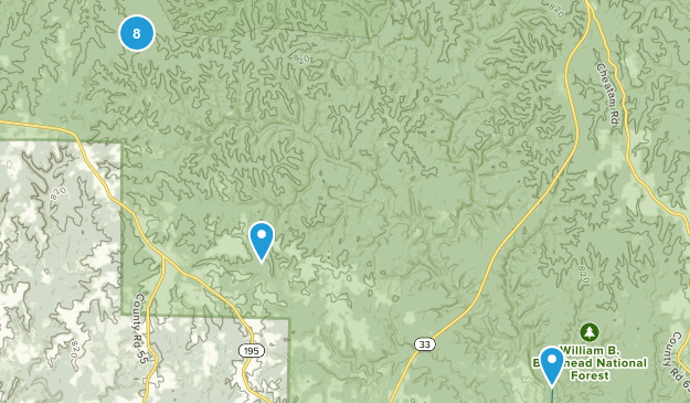 Double Springs, Alabama Map