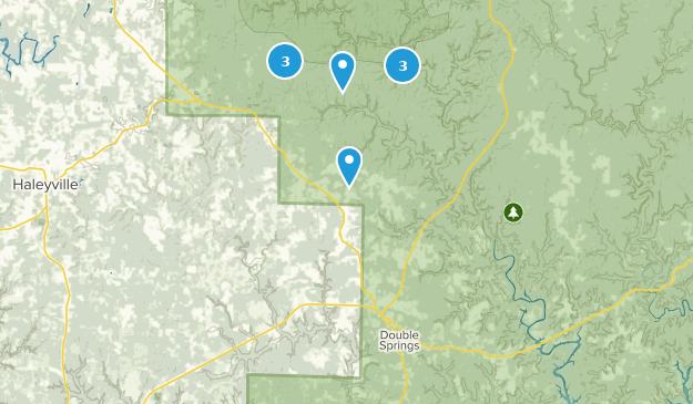 Double Springs, Alabama Map