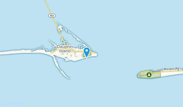 Fort Gaines, Alabama Map