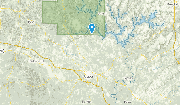 Jasper, Alabama Map