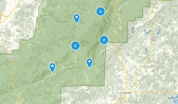 Lineville, Alabama Map