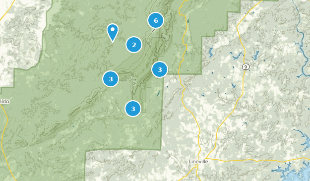 Lineville, Alabama Map