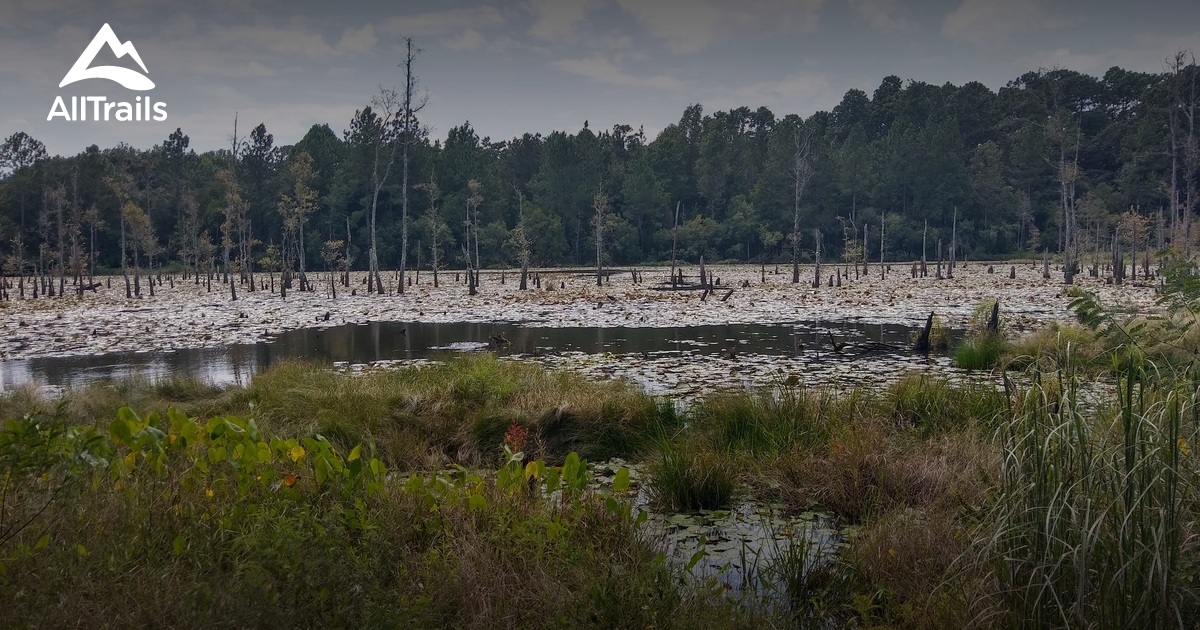 Best Trails near Mobile, Alabama | AllTrails
