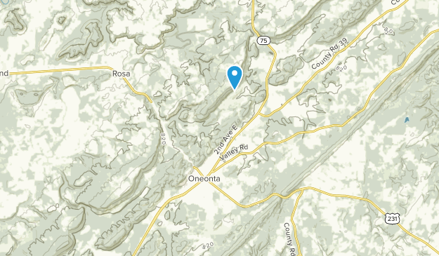 Oneonta, Alabama Map