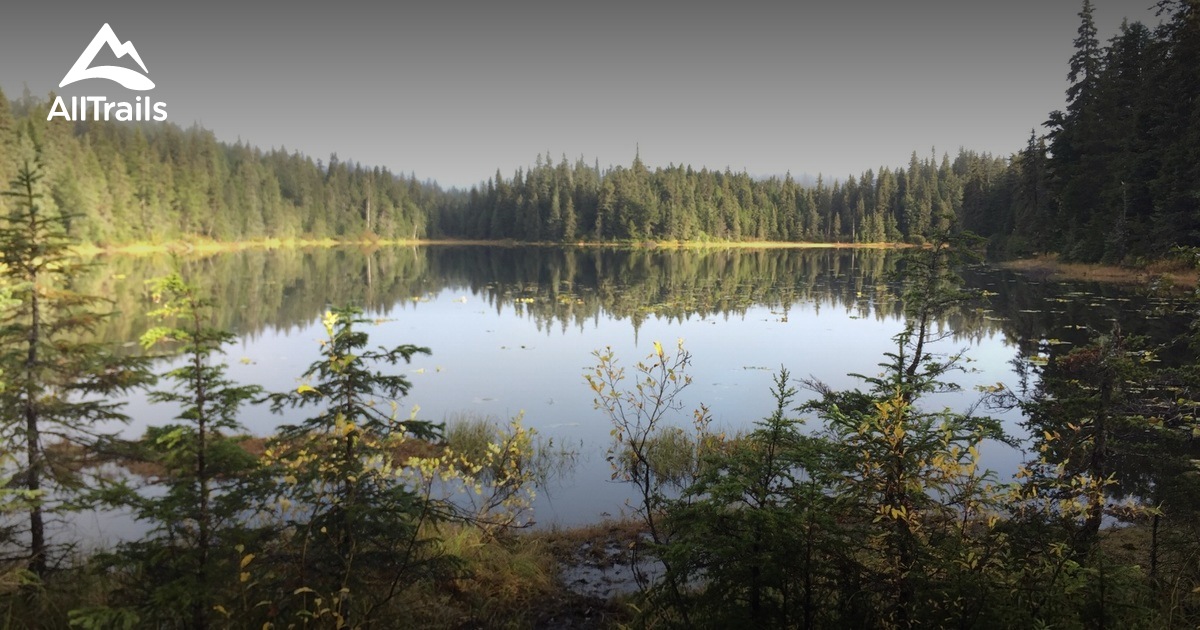 Best Trails near Bear Creek, Alaska AllTrails
