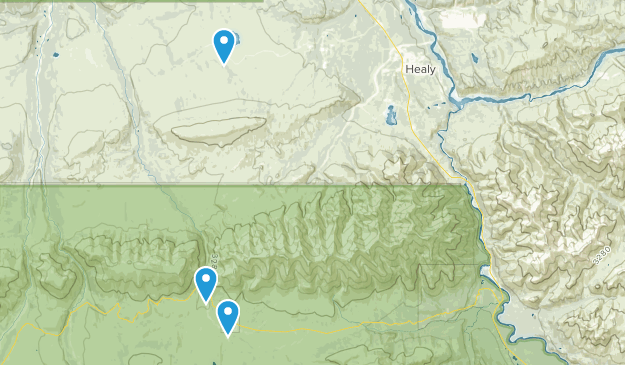 Healy, Alaska Map